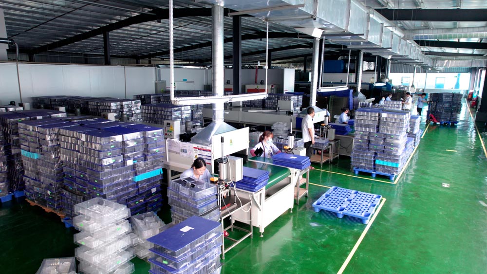 欧美性XXXXX极品娇小